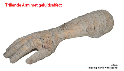 4.000 Geanimeerde Halloween Pompoen Met Een Eng En Schattig Gezicht Zwarte Horror Achtergrond Silhouette Bomen Roken Maangras Su Video254536993